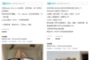 六爻在线闲鱼：LABUBU搜索量环比上涨1000%，供不应求下现租赁新形式