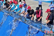 六爻在线2025年全国水生生物同步增殖放流活动在福建举行