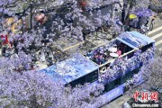 六爻在线2024年云南重点高原湖泊水质稳定 抚仙湖达Ⅰ类